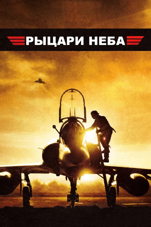Рыцари неба